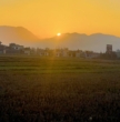पश्चिमी प्रणाली सक्रिय, वर्षासँगै तराईमा तापक्रम बढ्ने